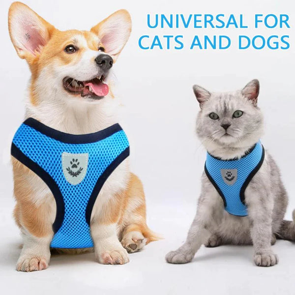 Adjustable Mesh Cat Harness Vest for Outdoor Adventures