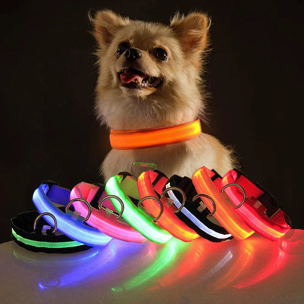 Adjustable LED Glowing Dog Collar for Nighttime Visibility